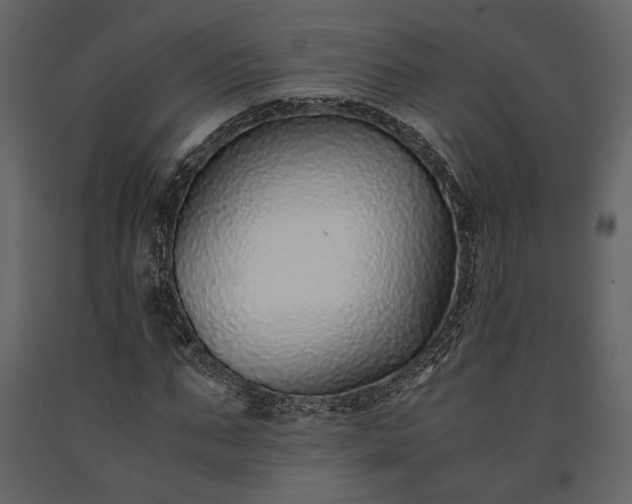 X0000091520871200708241648
