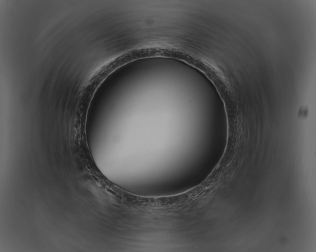 X0000091520872200708241648