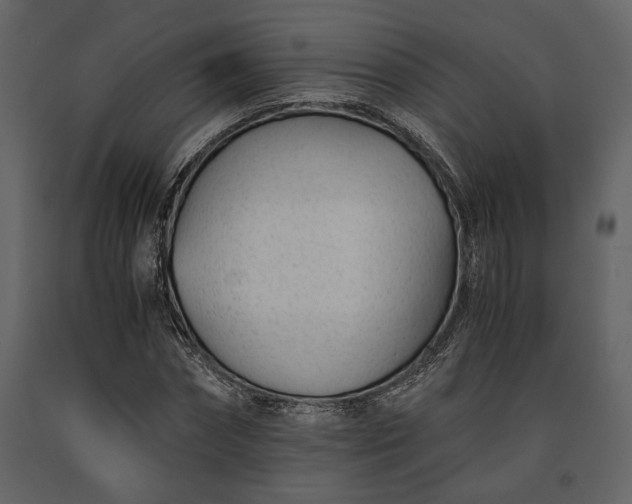X0000091520874200708241648