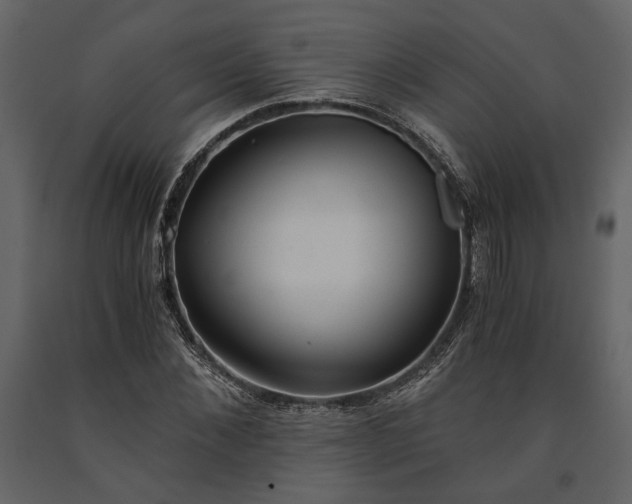 X0000091520876200708241648