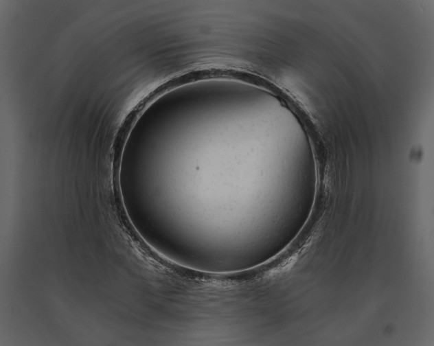 X0000091520877200708241648