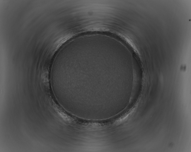 X0000091520881200708241647