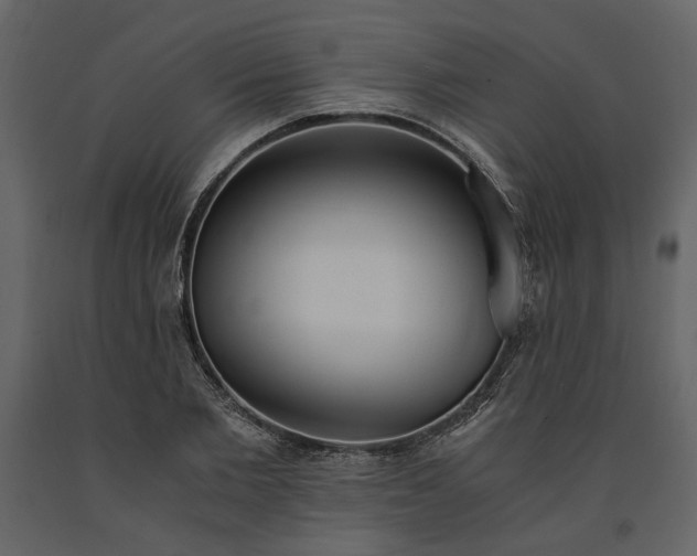 X0000091520885200708241647