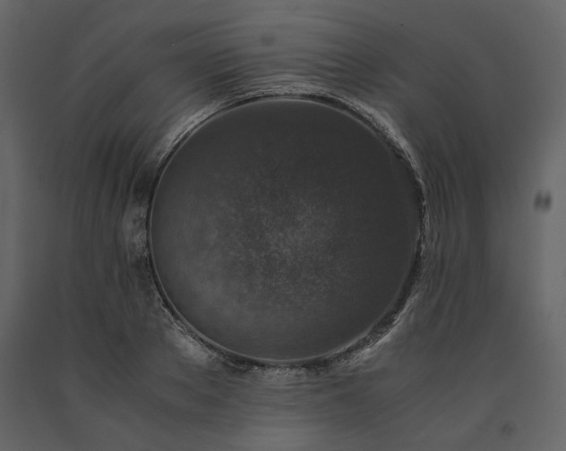 X0000091520889200708241647
