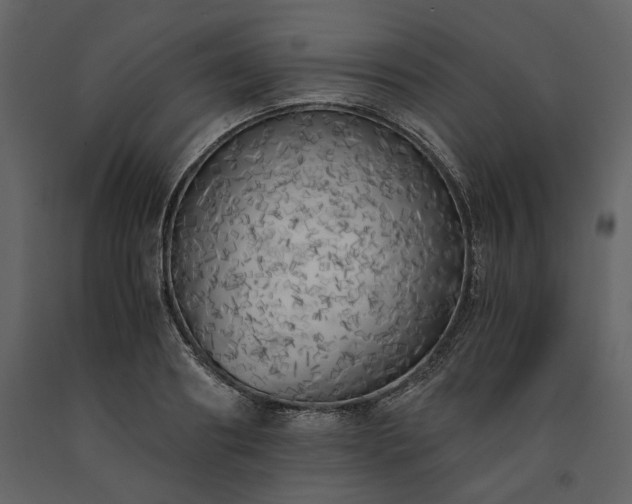 X0000091520890200708241647