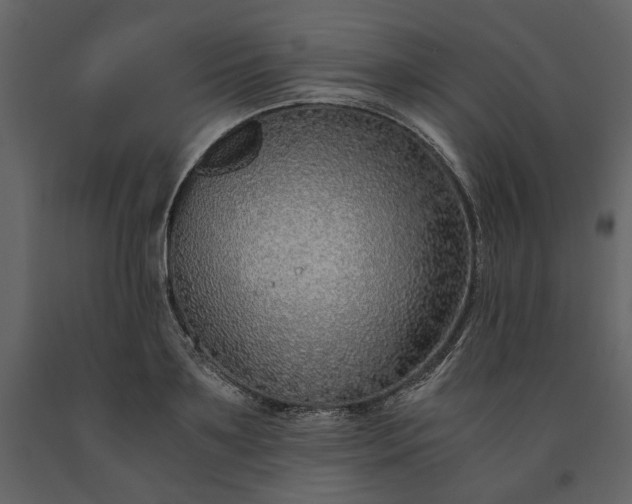 X0000091520891200708241647