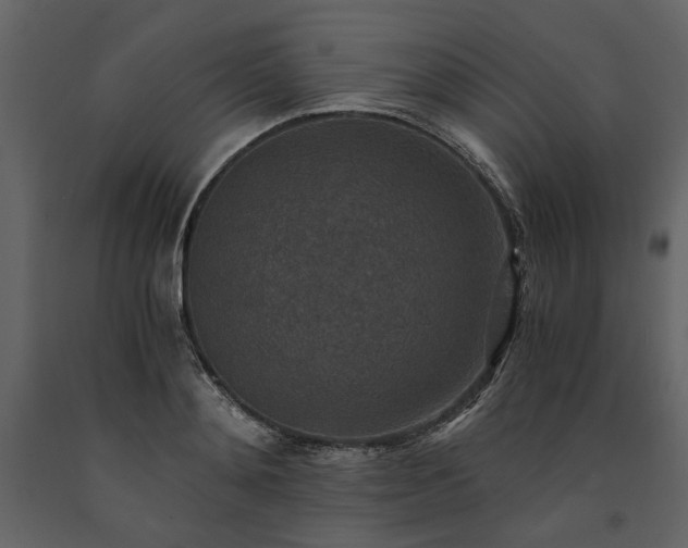 X0000091520892200708241647