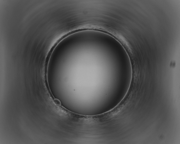 X0000091520896200708241647