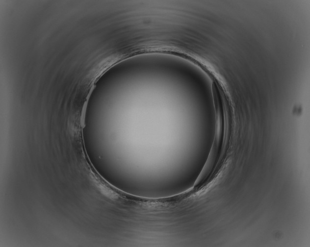 X0000091520897200708241647