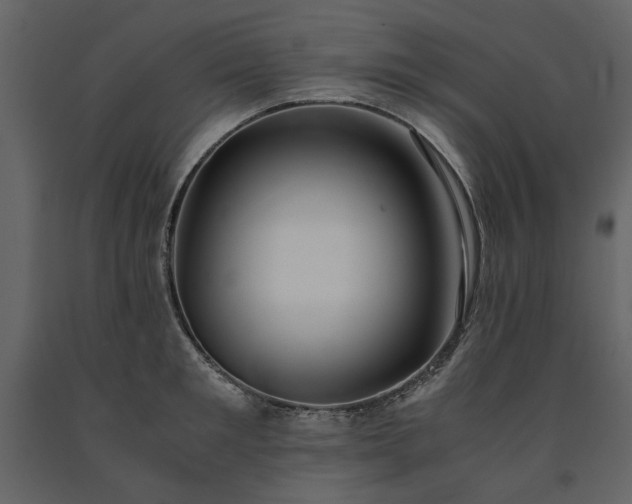 X0000091520901200708241647