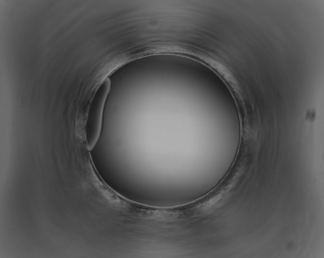 X0000091520905200708241647