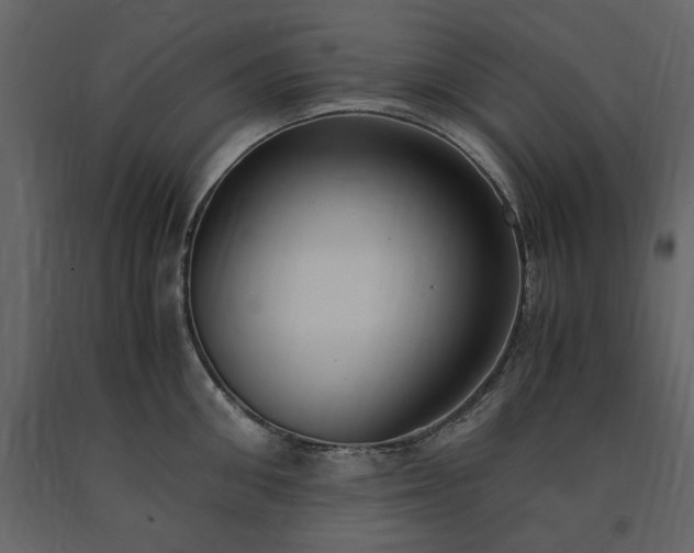 X0000091520906200708241647