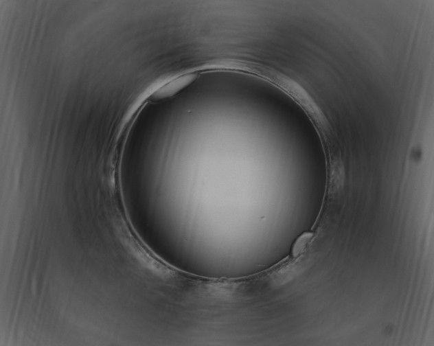 X0000091520908200708241647