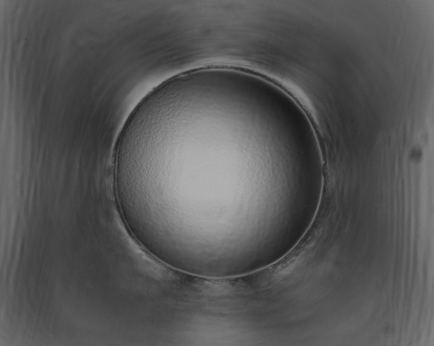 X0000091520911200708241647