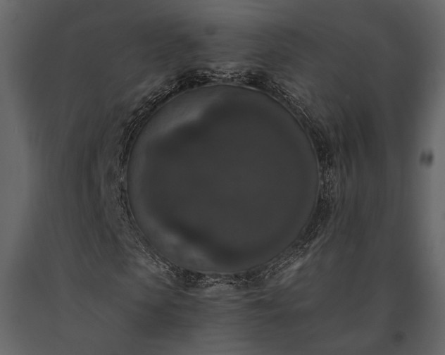 X0000091520913200708241646
