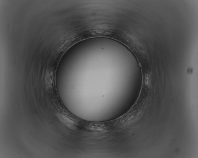 X0000091520915200708241646