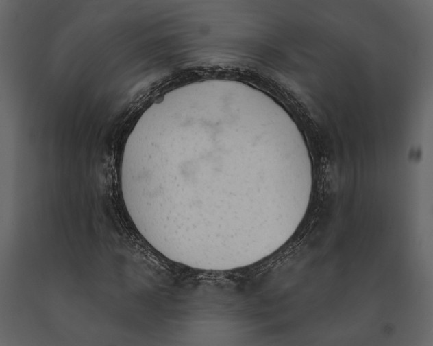 X0000091520918200708241646