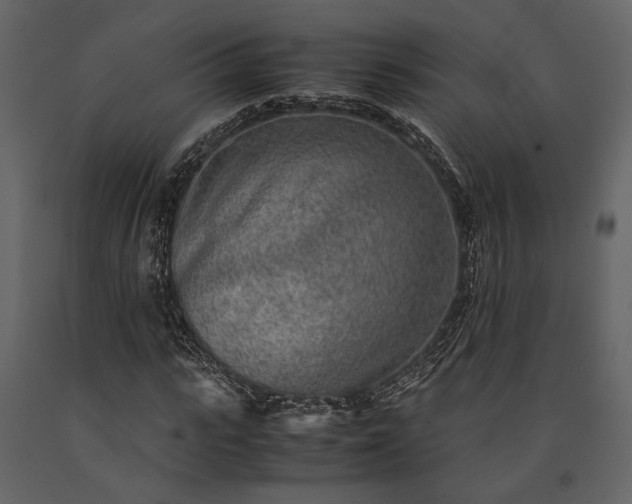 X0000091520919200708241646