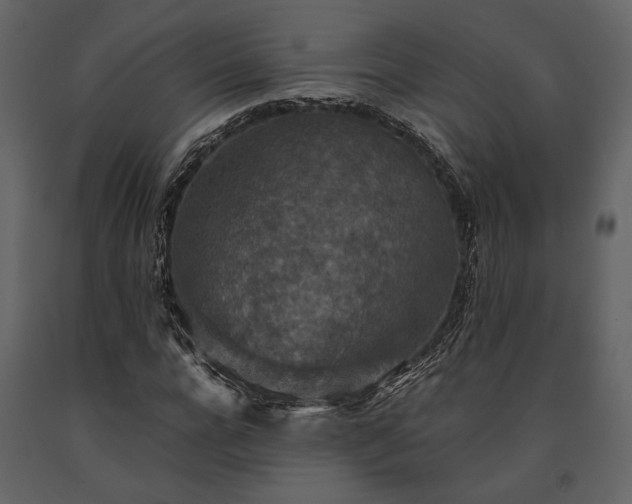 X0000091520920200708241646