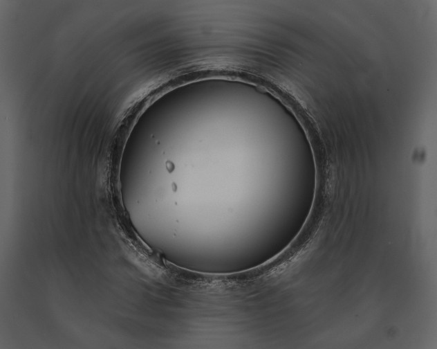X0000091520922200708241647