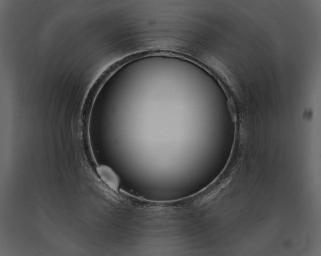 X0000091520924200708241647