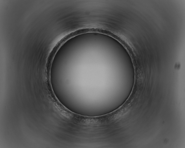 X0000091520927200708241647