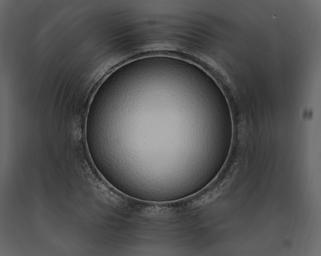 X0000091520929200708241647