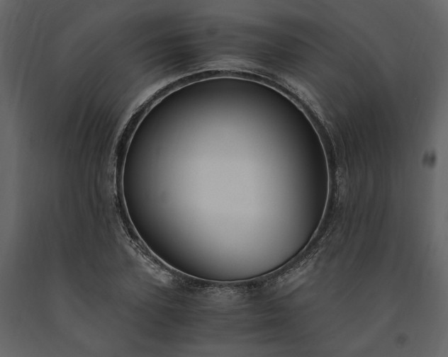 X0000091520931200708241647