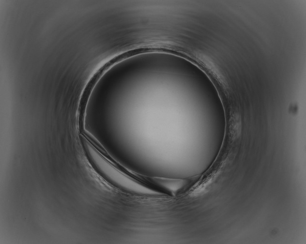 X0000091520932200708241647