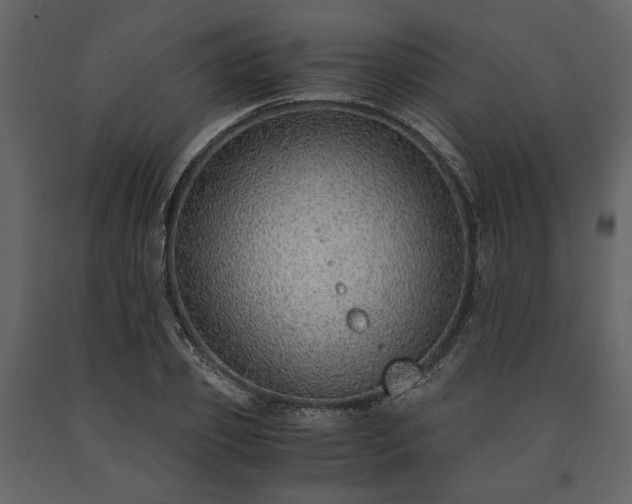 X0000091520933200708241647