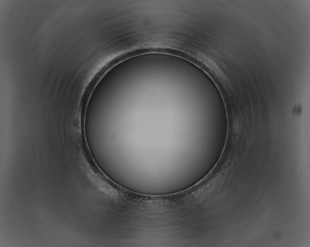 X0000091520934200708241647