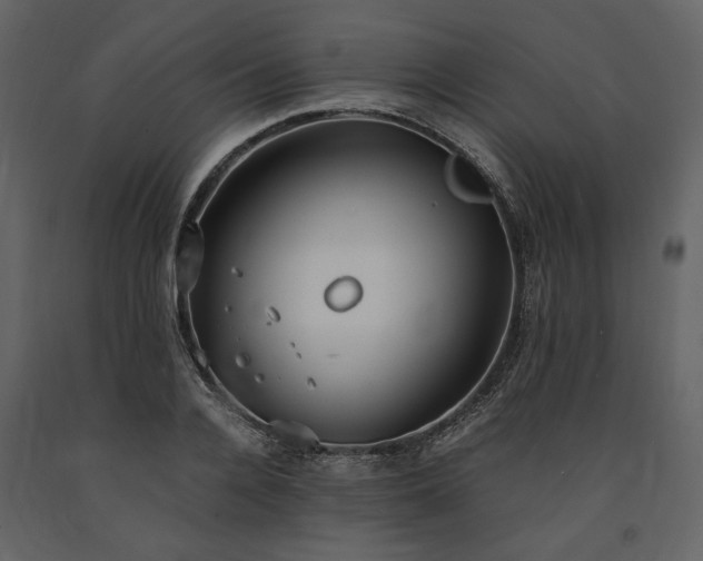 X0000091520936200708241647