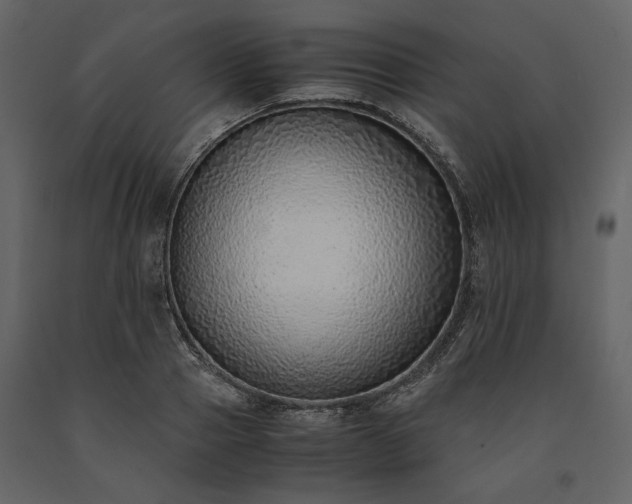 X0000091520937200708241647