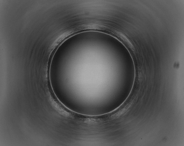 X0000091520938200708241647