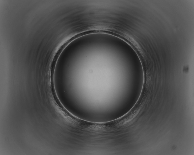 X0000091520939200708241647