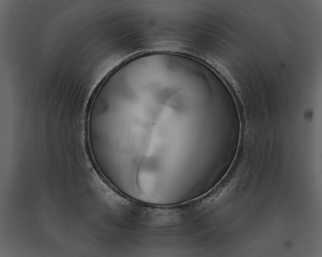 X0000091520941200708241647