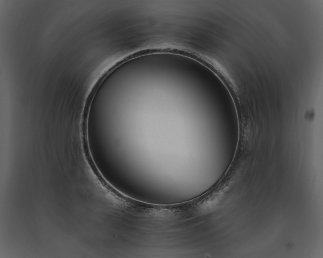 X0000091520943200708241647