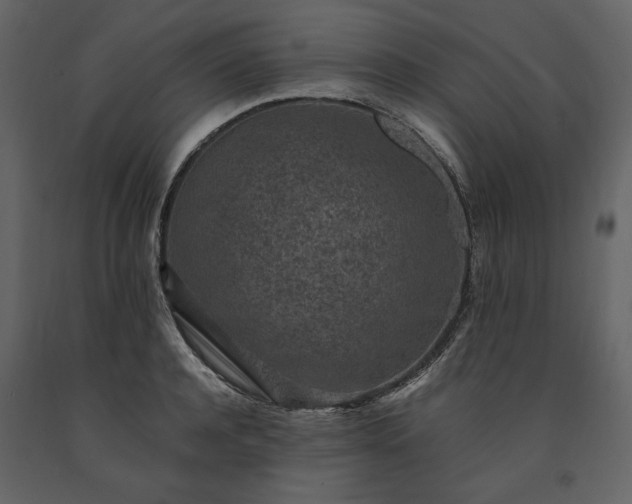 X0000091520944200708241647