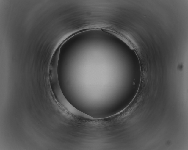 X0000091520948200708241647