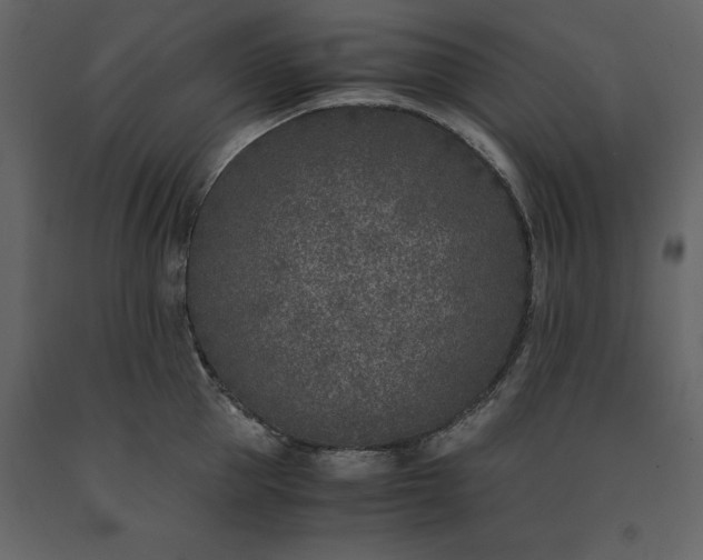 X0000091520953200708241647