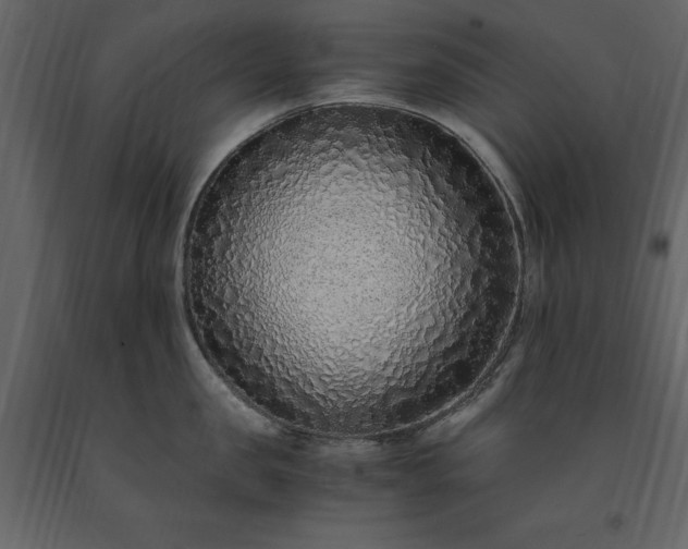 X0000091520957200708241647