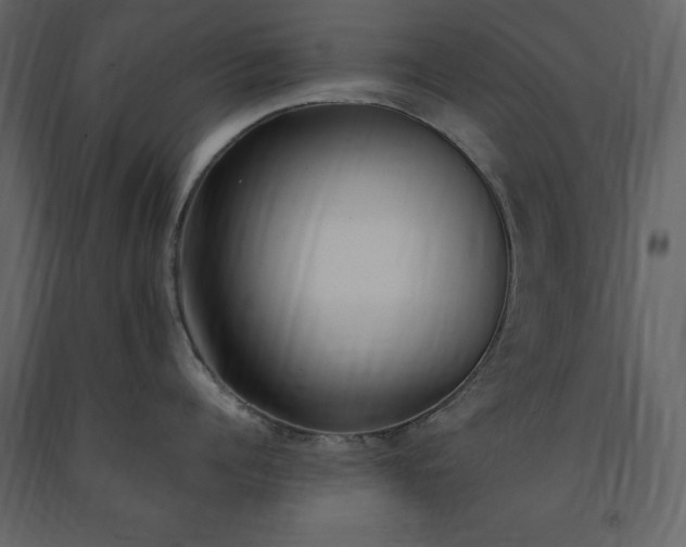 X0000091520960200708241647