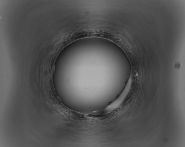 X0000091520961200708241646