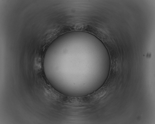 X0000091520962200708241646