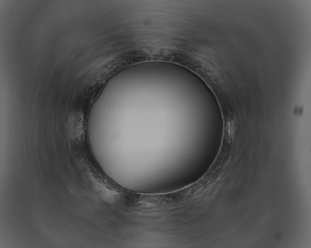 X0000091520963200708241646