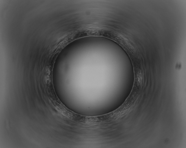 X0000091520964200708241646