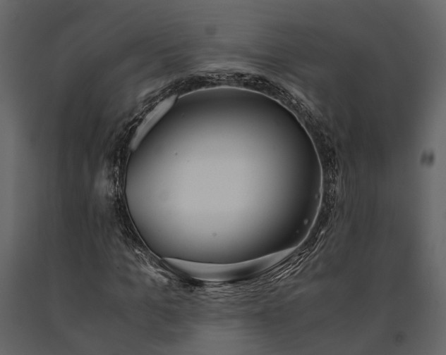 X0000091520965200708241646