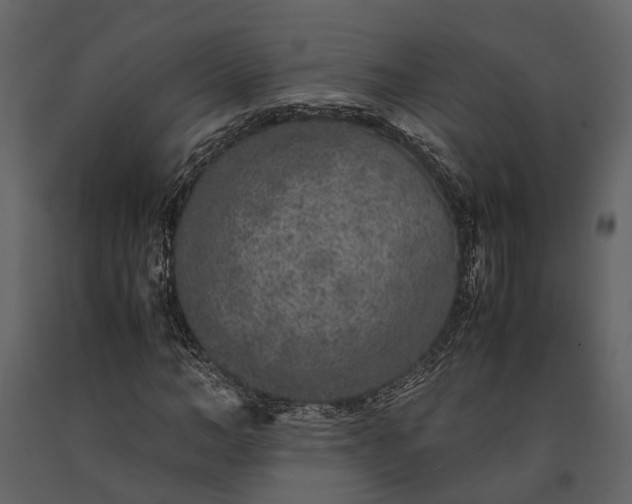X0000091520966200708241646