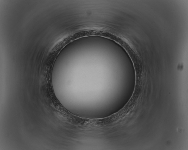 X0000091520967200708241646