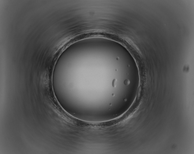 X0000091520969200708241646